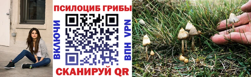 Псилоцибиновые грибы MAGIC MUSHROOMS  Лебедянь 